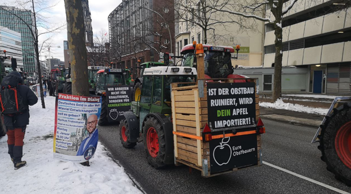 Demo_Hamburg_3.png