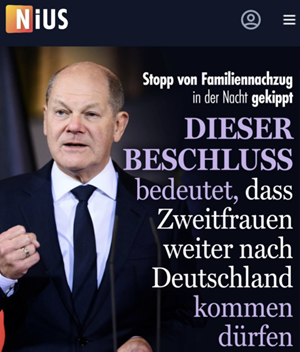 Migrationskanzler.png